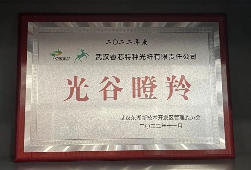 睿芯公司连续五年获评“光谷瞪羚”企业
