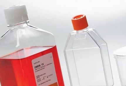 深度布局细胞基因，康宁生命科学访谈纪要