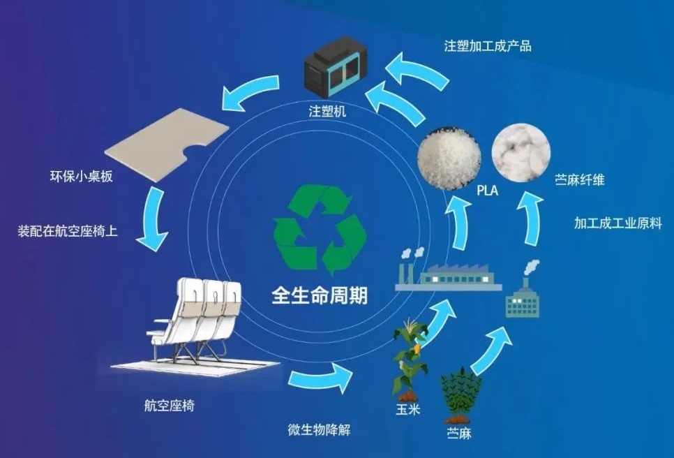 强强联合！波音与中国商飞合作研发可持续飞机客舱材料