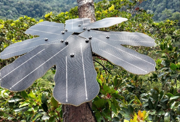  英飞凌与Rainforest Connection合作，利用先进的传感器技术保护雨林