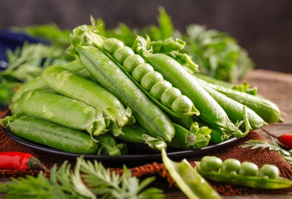 帝斯曼推出植物蛋白Vertis质构化豌豆油菜籽蛋白