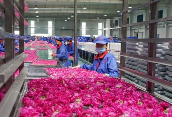 浪潮云洲2个案例项目入选2022年工业互联网试点示范名单