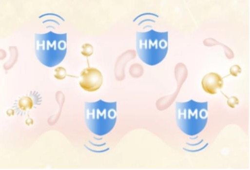 科汉森3种HMO成分获欧盟新型食品批准