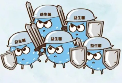 2022—2023年益生菌行业创新趋势解读