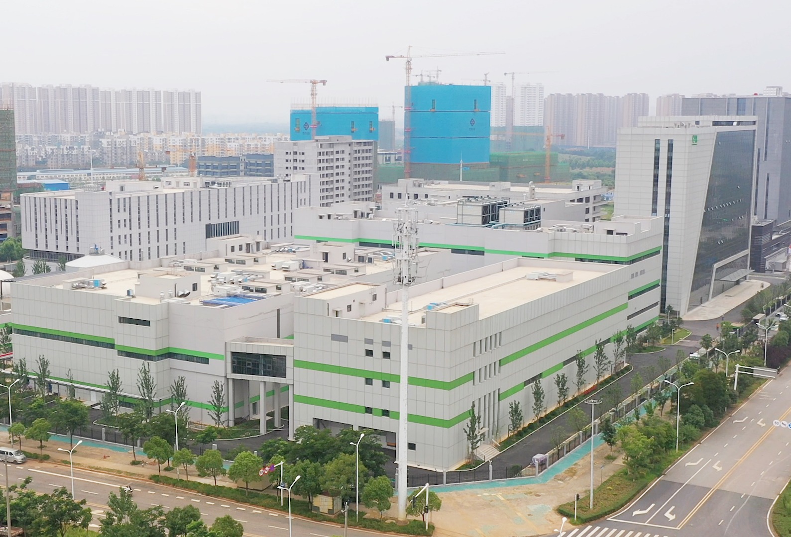 禾元生物植物源重组人血清白蛋白智能化工厂顺利启动投产