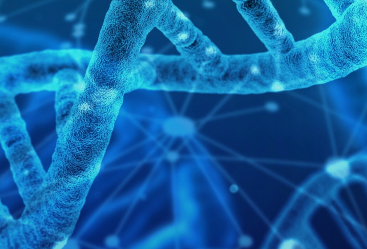 Genomic Vision推出新服务HexaCard，对用于生物制造和细胞与基因治疗的细胞系进行表征