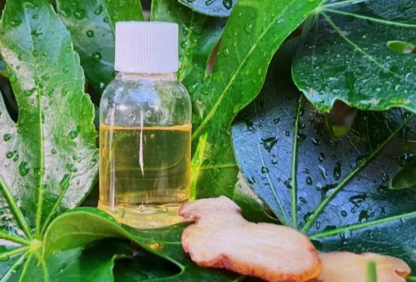 植物精萃协同微生物发酵，英格生物带来高效抗衰老成分
