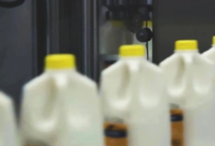 库卡案例 | 为牛奶箱实现冷库码垛自动化