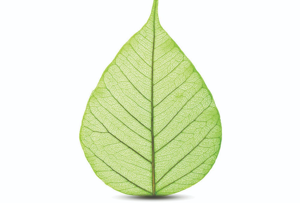 SABIC推出NORYL™所有牌号树脂的生物基版本，进一步推动塑料的循环经济发展