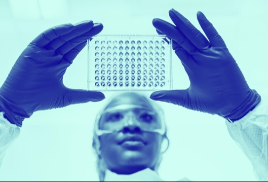 REACH 法规时代下，生物加工洗涤剂有什么新解决方案？