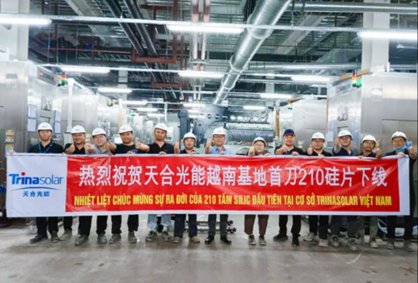 天合光能越南基地 210单晶硅片成功下线