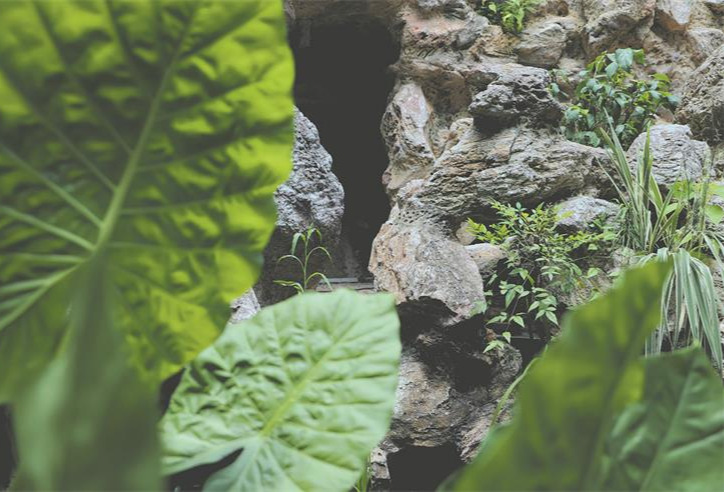 传承中医药智慧， 挖掘化妆品研发新线索 ——专访伽蓝（集团）股份有限公司研发中心总经理邹岳博士
