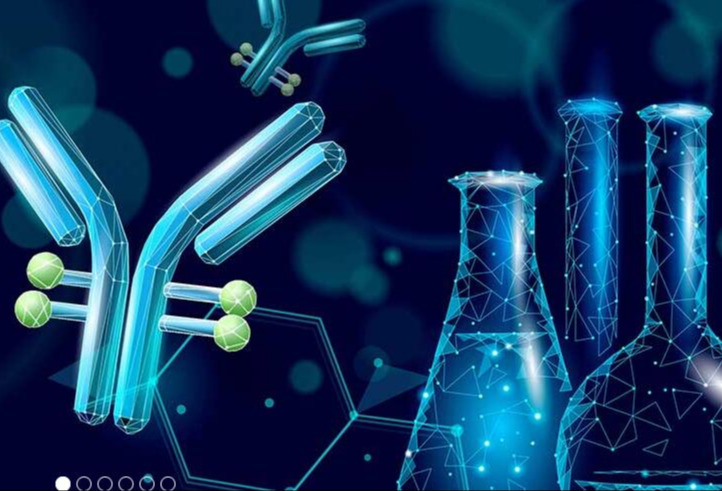 金斯瑞蓬勃生物祝贺IMBiologics双抗项目IMB-101获FDA临床试验批准