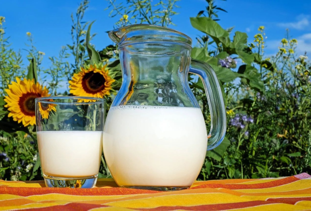 新消费时代，乳制品行业还有哪些机会？