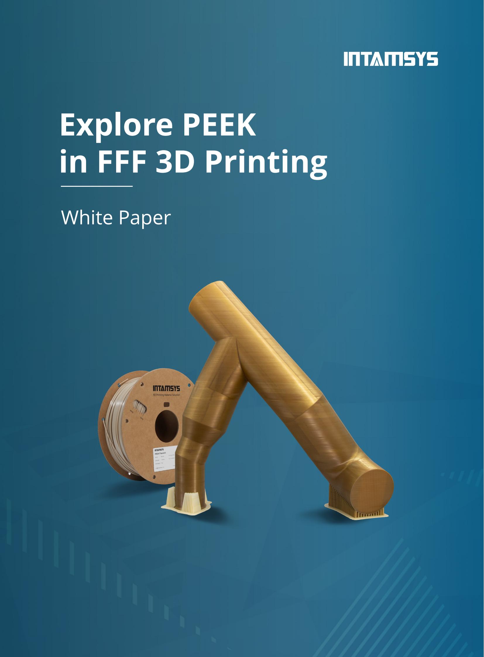 PEEK in FFF 3D Printing