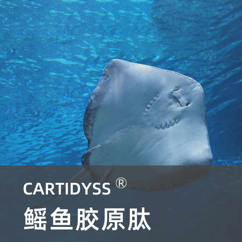 富糖胺聚糖 GAGs
