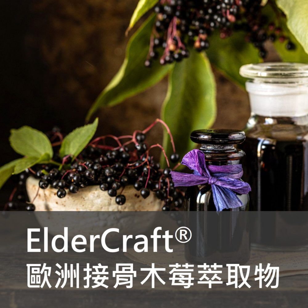 接骨木莓提取物
