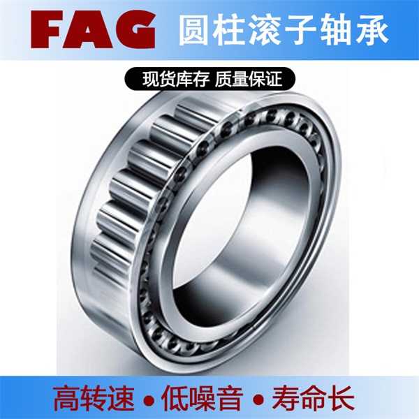 舍弗勒INA满装圆柱滚子轴承SL181896-E-TB-C3西门子减速机