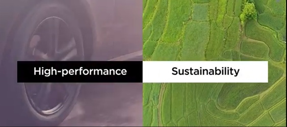 Fossil dependency and renewable alternatives