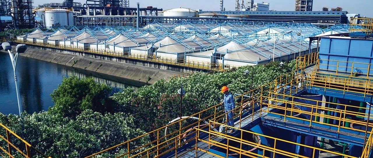 2025年全球化工企业50强公布，特种化学品市场回暖