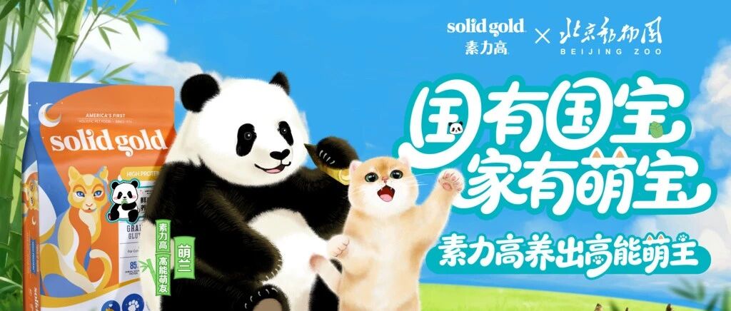 Solid Gold素力高联名熊猫萌兰,以科学营养守护猫咪肠道健康