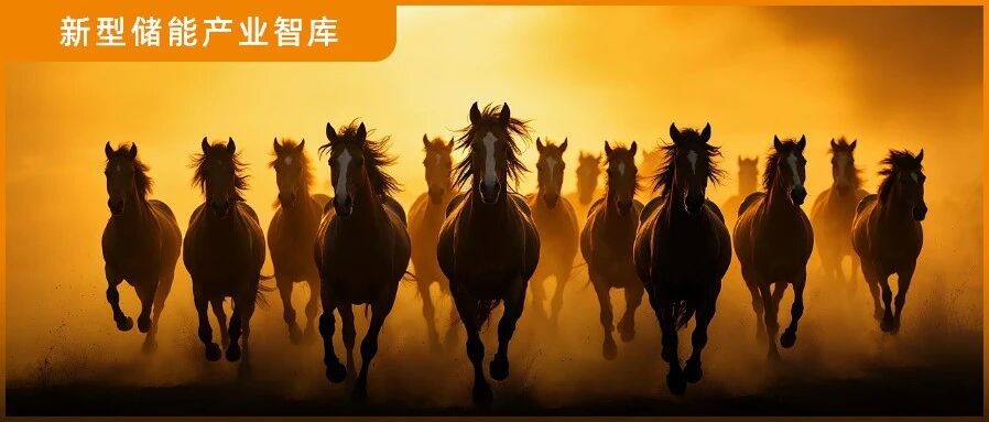 GWh级出货!两巨头领跑,大容量储能竞速