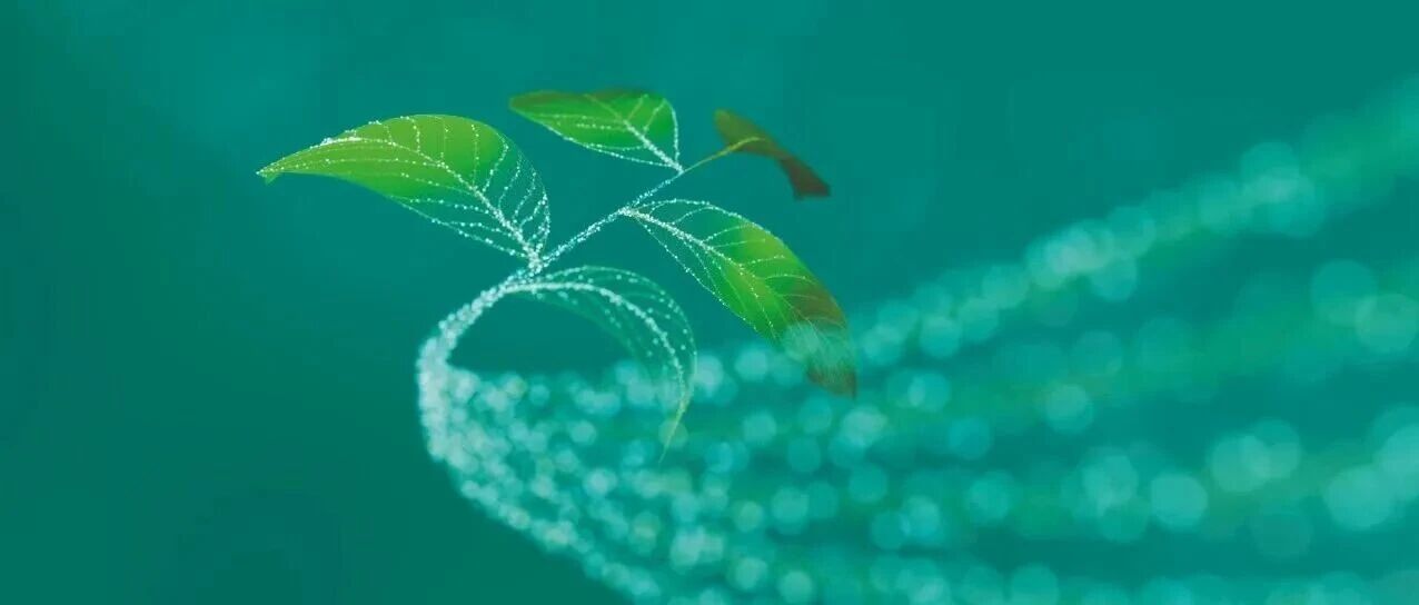 美国国际贸易委员会裁定英飞凌在针对英诺赛科的一项专利侵权案中胜诉