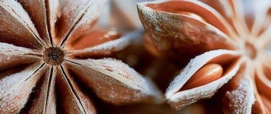 帝斯曼-芬美意发布2026“年度风味”:冰霜八角茴香(Frosted Star Anise)