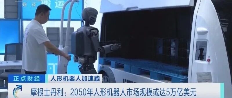 摩根人形机器人25强,中国占7家