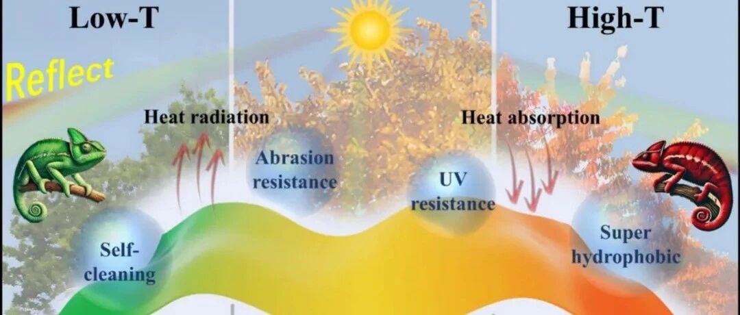 通过简便一步喷涂法制备稳健多级热致变色超疏水涂层