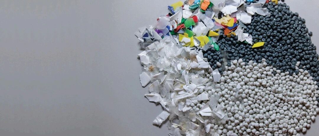 告别异味与黑点：全球顶尖技术如何让PCR“逆天改命”？