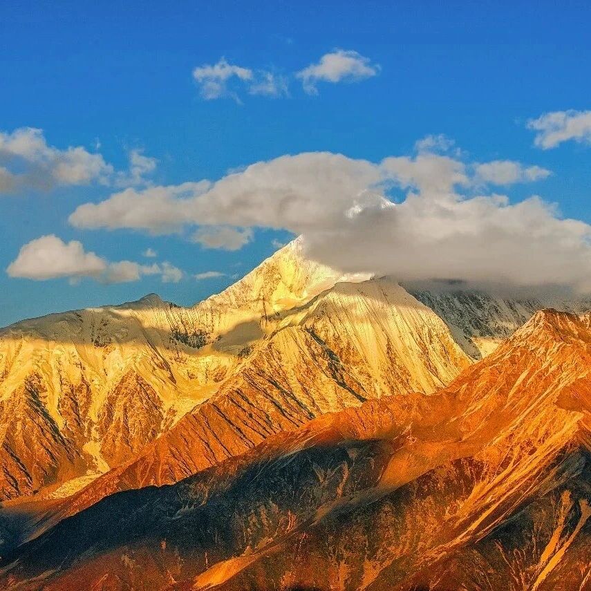 强生医疗科技，牵手中国创新械企畅医达