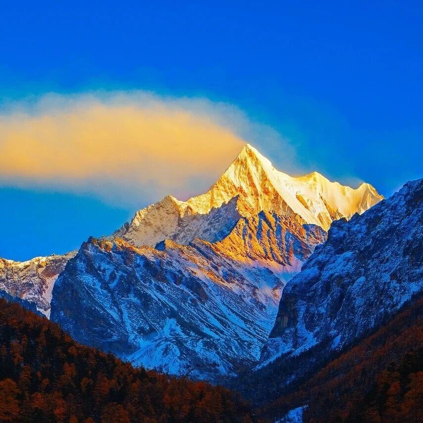 心脉医疗创新支架获CE MDR认证