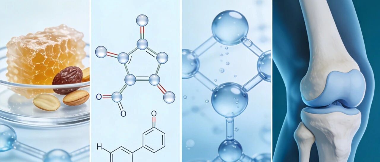新政之下，骨关节健康“成分战”升级，谁能胜出？